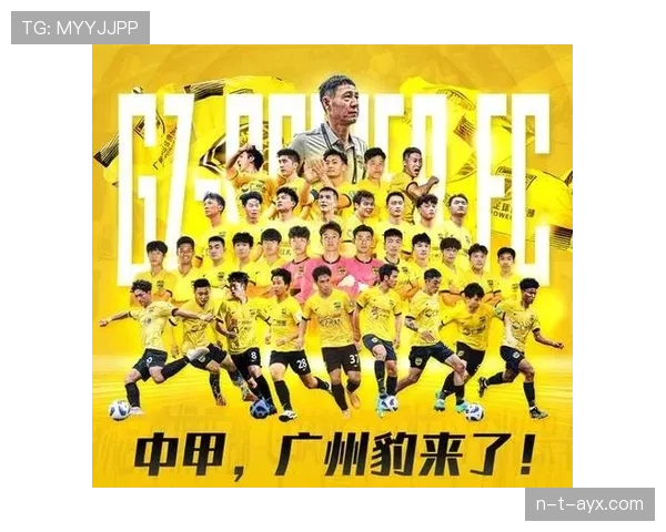 中超球队重磅引援,实力跃升引关注 中超球队重磅引援,实力跃升引关注